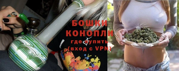 ГАЛЛЮЦИНОГЕННЫЕ ГРИБЫ Беломорск