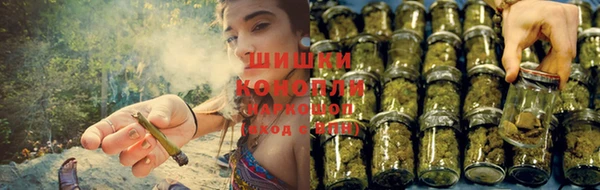 дурь Белокуриха